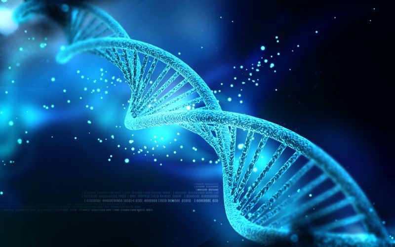 DNA Reparatur Service