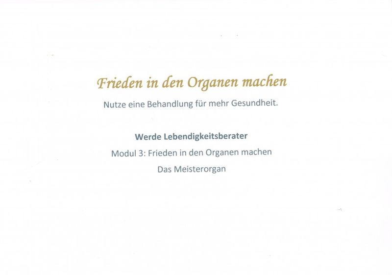 Beate Lückmann - Frieden in den Organen machen - Das Meisterorgan